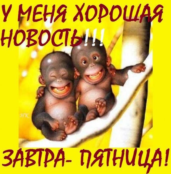 Открытки завтра пятница