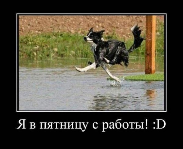 Пятница работа