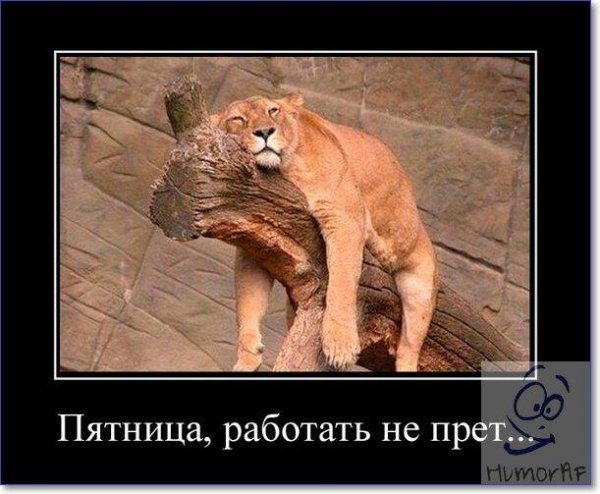 Пятница работа
