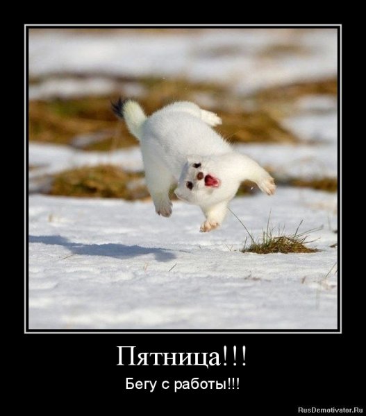 Пятница демотиваторы