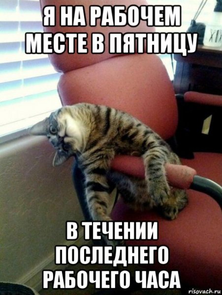 Рабочий день приколы
