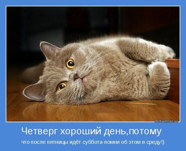 Четверг картинки смешные