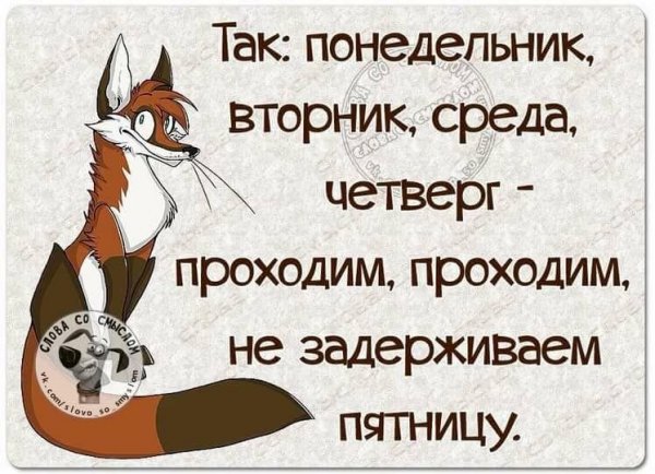 Цитаты про среду