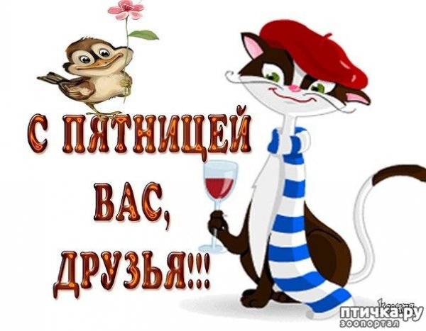 Наконец то пятница