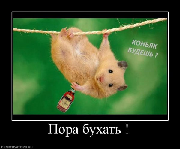 Бухать будем