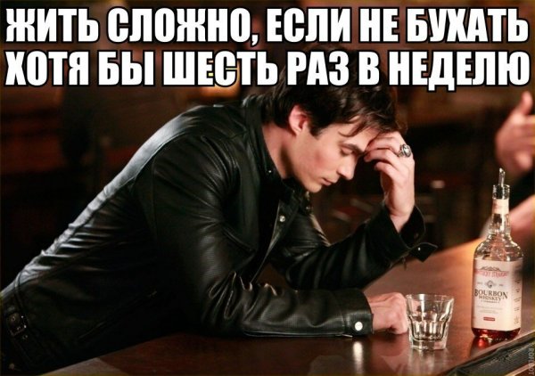 Предложение бухнуть