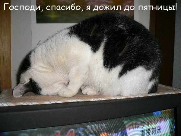 Наконец-то я дожил до пятницы