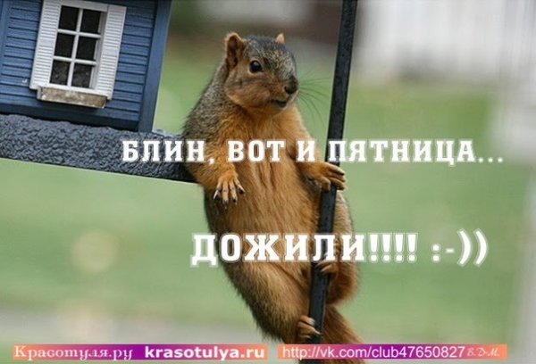 Вот и дожили до пятницы