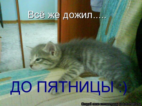 Пятница пора домой