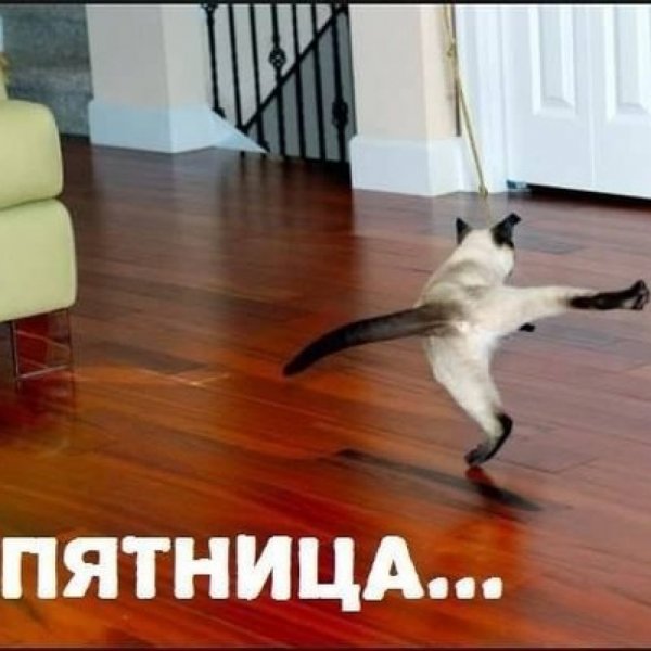 Ура наконец то пятница