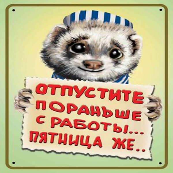 Открытки с пятницей прикольные