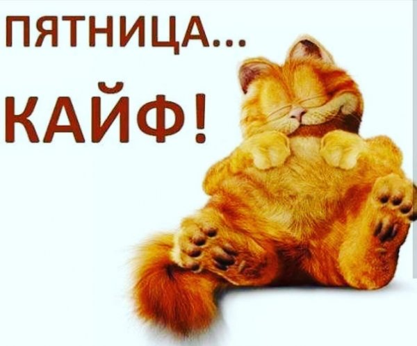Смешные открытки с пятницей
