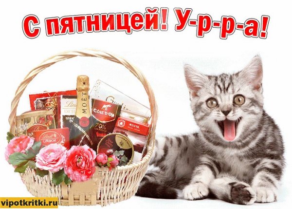 Прекрасной пятницы