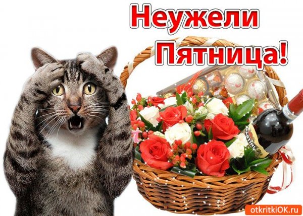 Поздравление с пятницей