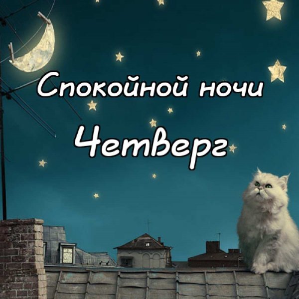 Спокойной пятничной ночи