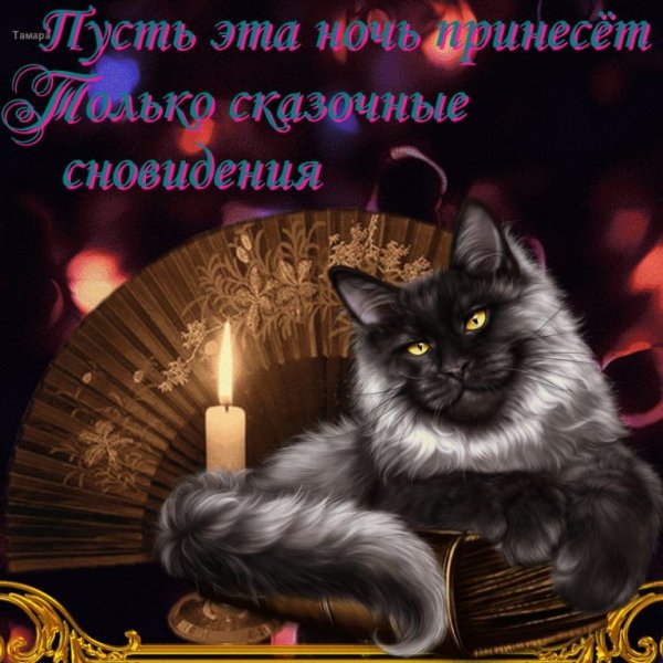 Приятного вечера и сладких снов