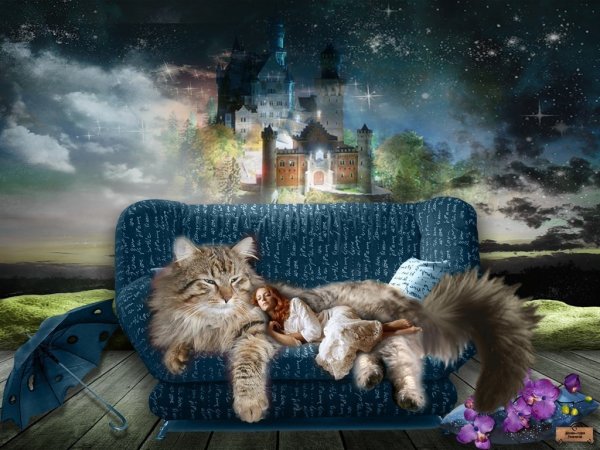 Сказочных сновидений