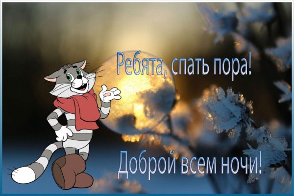 Спокойной ночи до завтра