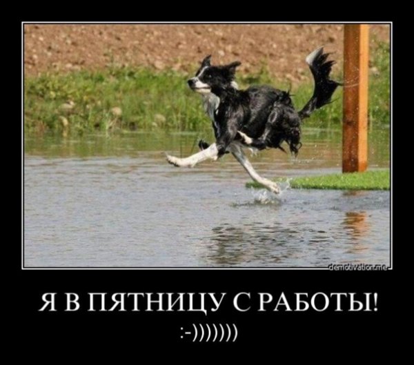 Пятница работа