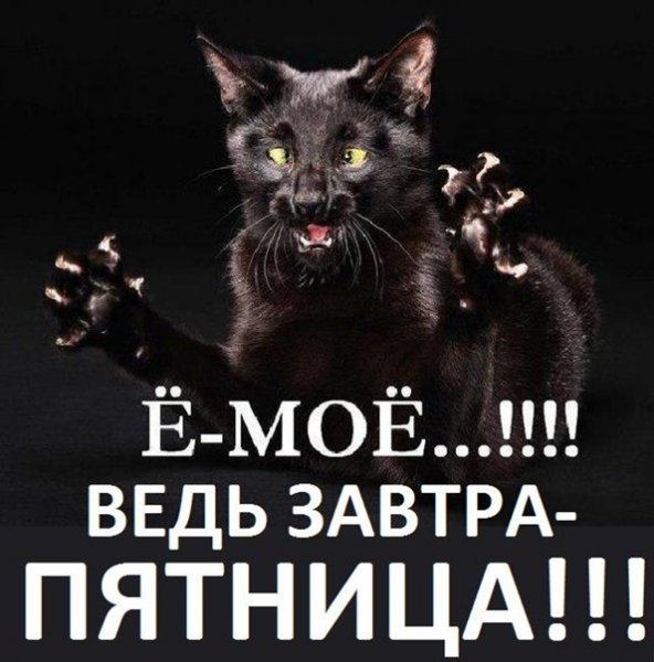 Завтра пятница