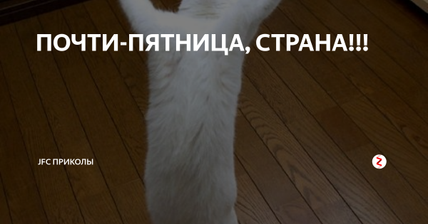 Почти пятница картинки