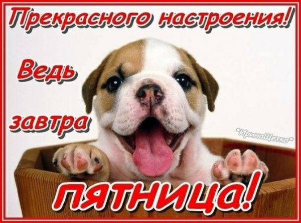 Четверг завтра пятница
