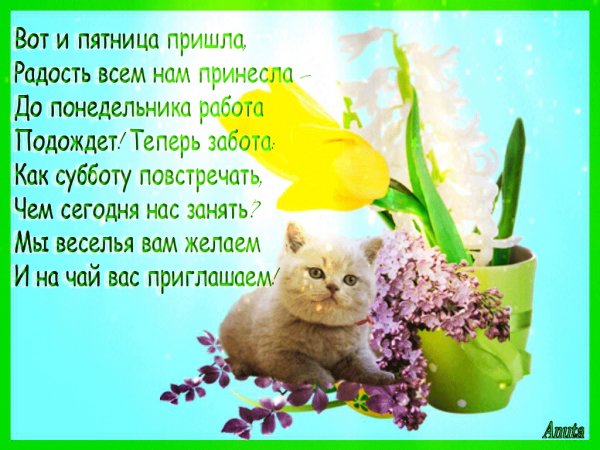 Вот и пятница пришла людям радость принесла