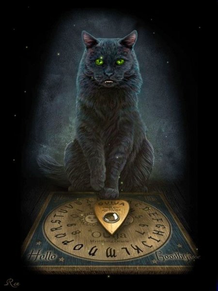 Ведьмин кот