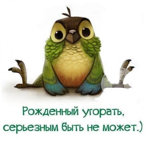 Живи и радуйся пока