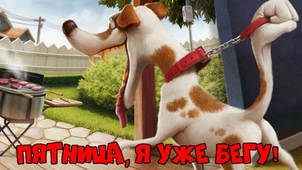 Высказывания про пятницу