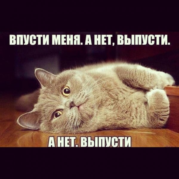 Четверг картинки смешные