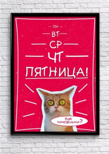 Мотивирующие плакаты смешные