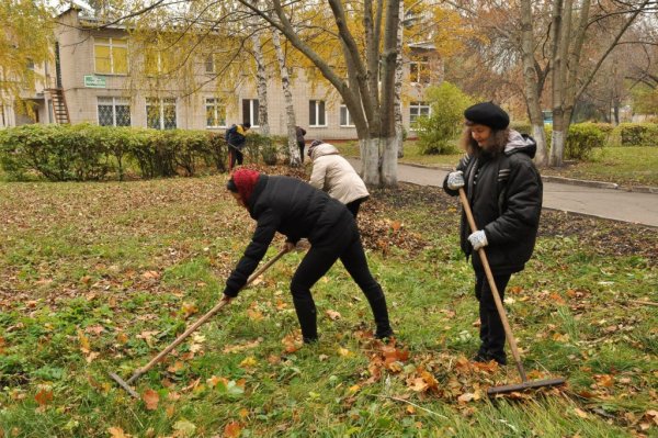 Санитарная пятница картинка