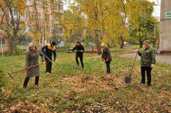 Санитарная пятница