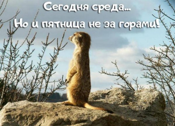 В ожидании пятницы