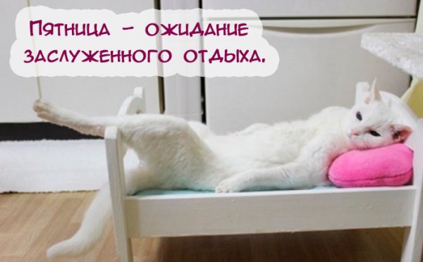 Пятница скоро выходные
