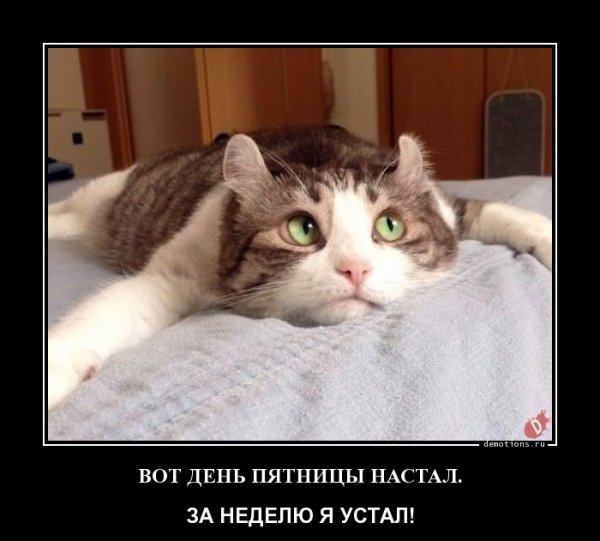 Приколы про пятницу и работу