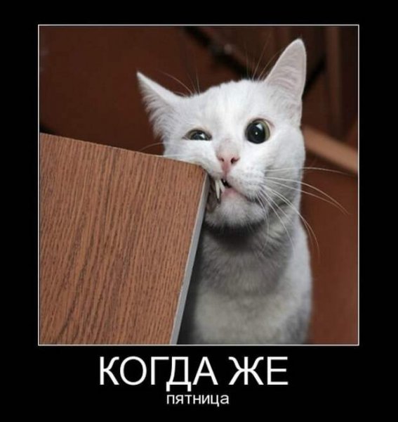 Четверг демотиватор