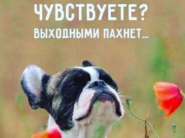 Открытка скоро выходные