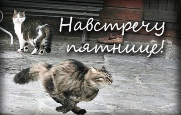 Пятница картинки прикольные