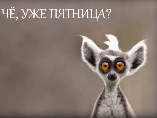 Уже пятница картинки