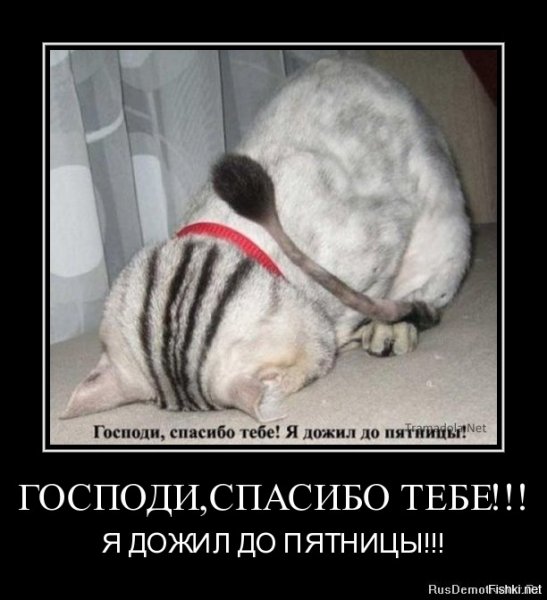Спасибо я дожил до пятницы