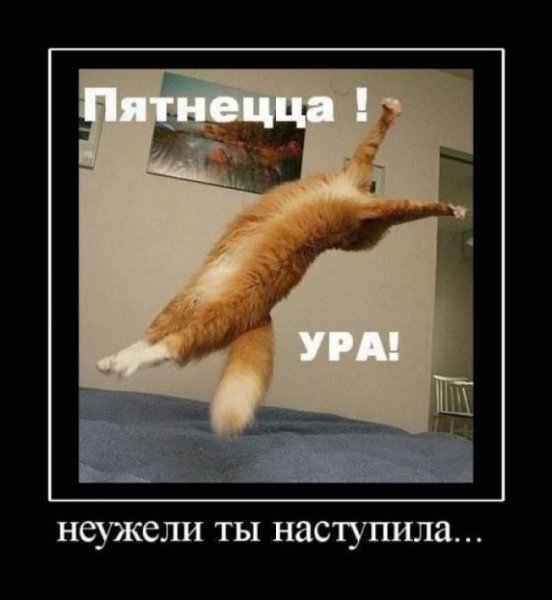 Наконец то пятница приколы