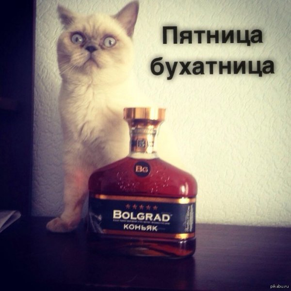 Пятница бухатница веселая открытка