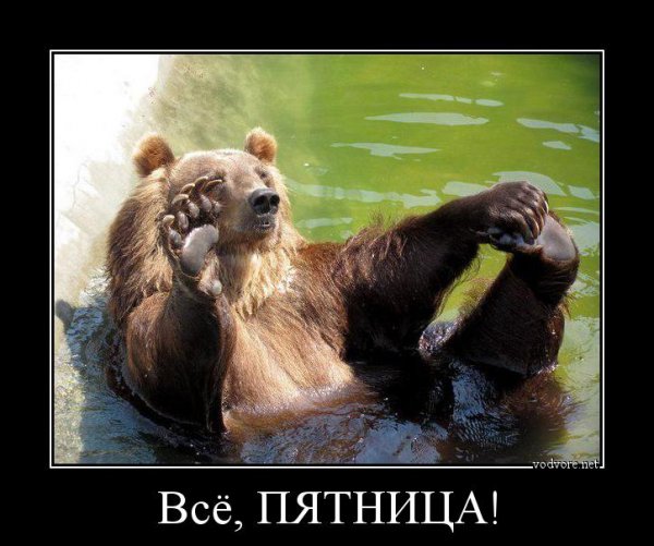 Пятница приколы
