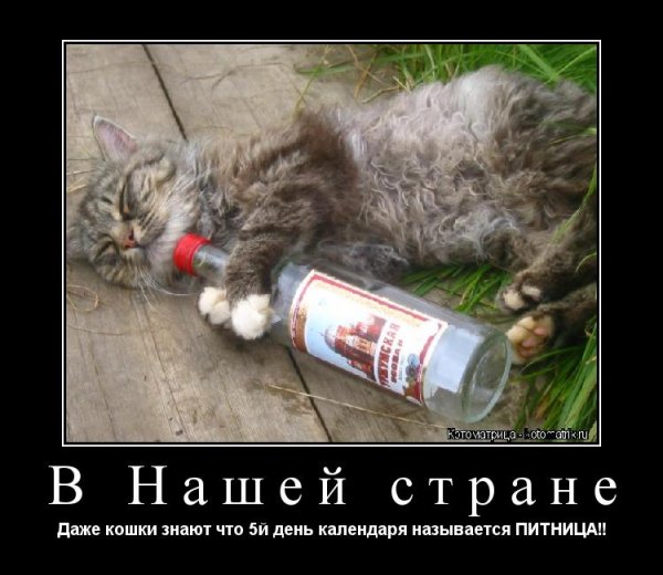 Пятница не питница картинки
