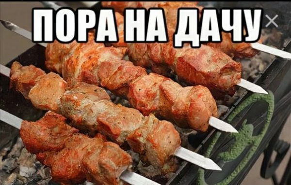 Пора на шашлыки прикольные