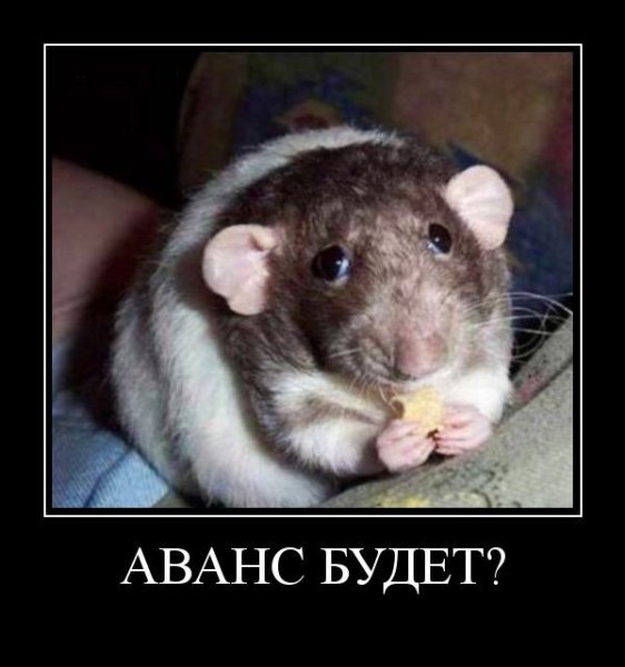 Аванс прикол
