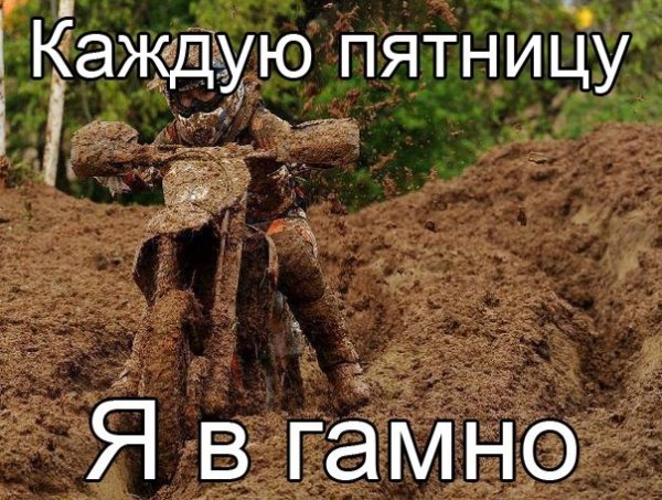 Каждую пятницу в говно картинки