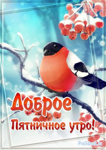 Доброе зимнее утро пятницы